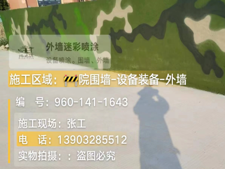 铜陵 迷彩漆喷涂价格（按平方米计费）