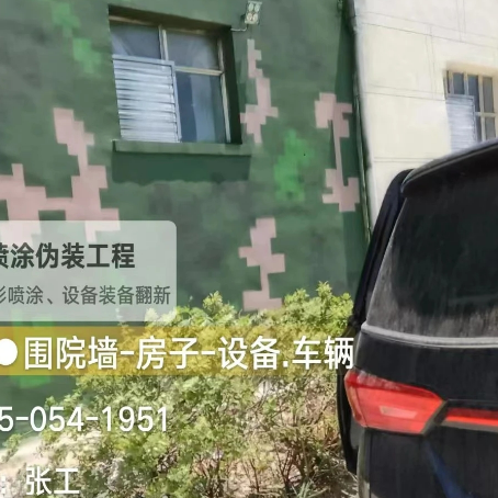 铜陵数码迷彩漆施工